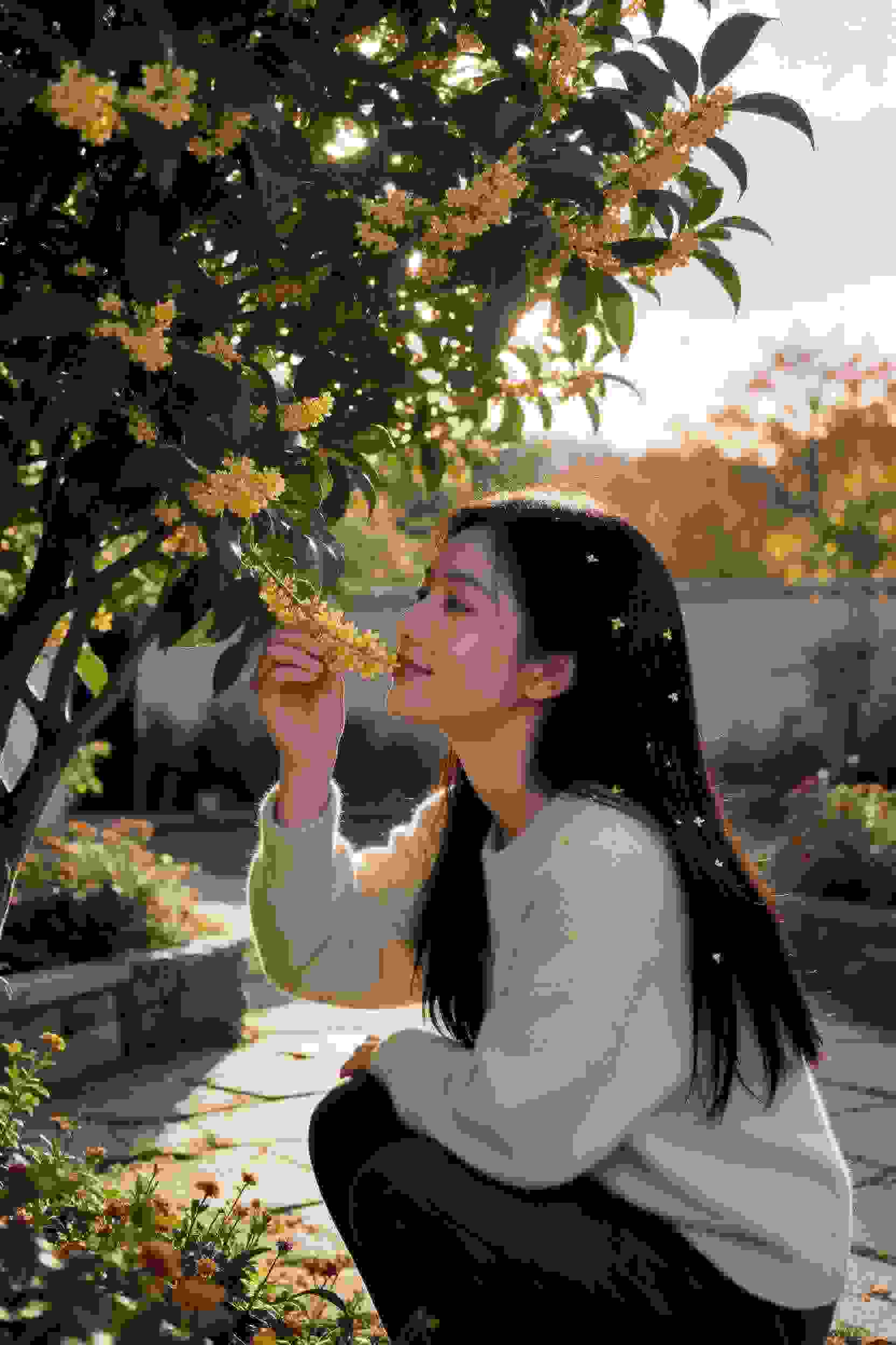 繁花
